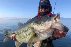 Megabass Dyna Response 14g -Fiskestang til fluefiskeri Butik MB DR 4513473478703r 3