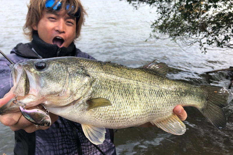 Megabass Vibration-X Dyna (Rattle In) 2 Megabass Vibration-X Dyna (Rattle In) - Billede 2