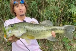 Megabass Vibration-X Dyna (Rattle In) 5 Megabass Vibration-X Dyna (Rattle In) -Fiskestang til fluefiskeri Butik MB VXDR 4513473465505r 3